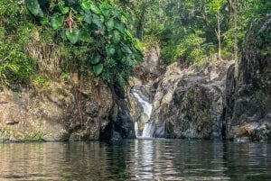 El Yunque Rainforest Tour Hike and Waterslide Adventure