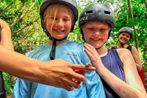 El Yunque Rainforest Tour Hike and Waterslide Adventure