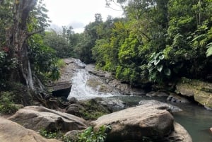 El Yunque Rainforest Water Slide & Luquillo Beach Tour