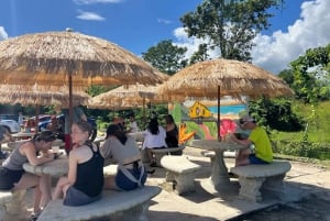 El Yunque Rainforest; Waterslides, Beach, Dine and Shop Tour