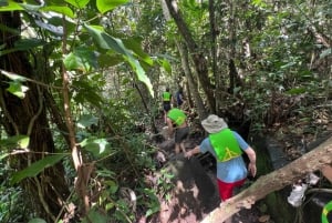 El Yunque Regenwald; Wasserrutschen, Strand, Essen und Einkaufstour