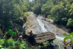 Las deszczowy El Yunque; zjeżdżalnie wodne, plaża, posiłek i wycieczka po sklepach