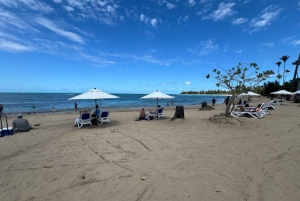 Selva tropical El Yunque; toboganes acuáticos, playa, cena y tour de compras