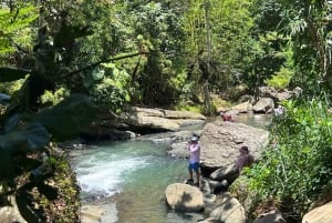 El Yunque regnskov; vandrutsjebaner, strand, spisning og shoppingtur