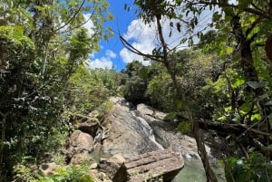 Regnskogen El Yunque; vattenrutschbanor, strand, middag och shoppingtur