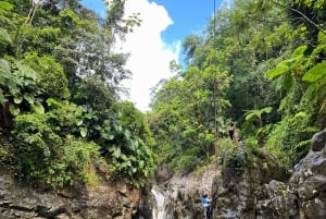 El Yunque ,river ,water slides and hike excursions