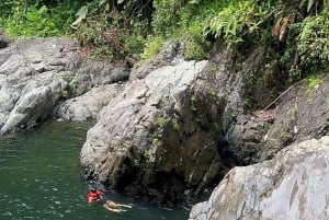 El Yunque ,river ,water slides and hike excursions