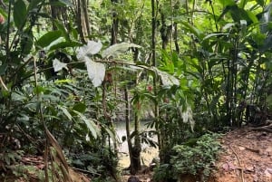 Эль-Юнке, река, водные горки и пешие экскурсии