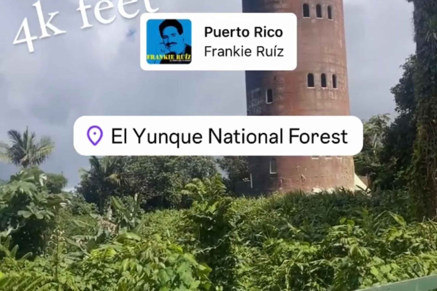 El Yunque Tour Regnskog och vattenrutschbana Puerto Rico