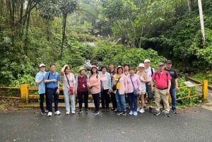 El Yunque Tour sademetsä ja vesiliukumäki Puerto Rico