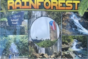 El Yunque Tour sademetsä ja vesiliukumäki Puerto Rico