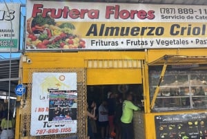 El Yunque Tour sademetsä ja vesiliukumäki Puerto Rico