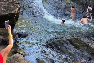 El Yunque Tour Regnskog och vattenrutschbana Puerto Rico