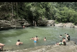 El Yunque Tour Regnskog och vattenrutschbana Puerto Rico