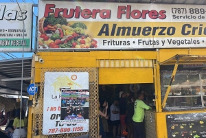 El Yunque Tour Regnskog och vattenrutschbana Puerto Rico
