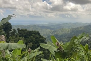 El Yunque Tour Regnskog och vattenrutschbana Puerto Rico