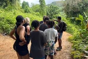 Fajardo: El Yunque Forest Guided Adventure