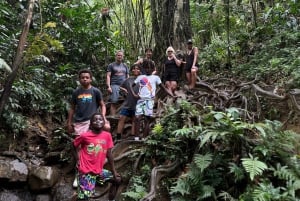 Fajardo: El Yunque Forest Guided Adventure