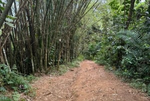 Fajardo: El Yunque Forest Guided Adventure