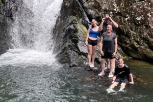 Fajardo: El Yunque Forest Guided Adventure