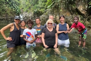 Fajardo: El Yunque Forest Guided Adventure