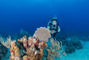 Fajardo: 2-Tank Reef Dive Excursion for Certified Divers
