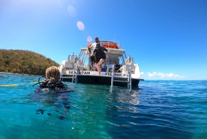 Fajardo: 2-Tank Reef Dive Excursion for Certified Divers