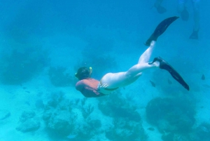 Fajardo: All Levels Snorkeling Tour to Icacos Island