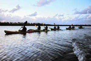 Fajardo : excursion en kayak dans la baie de Bio