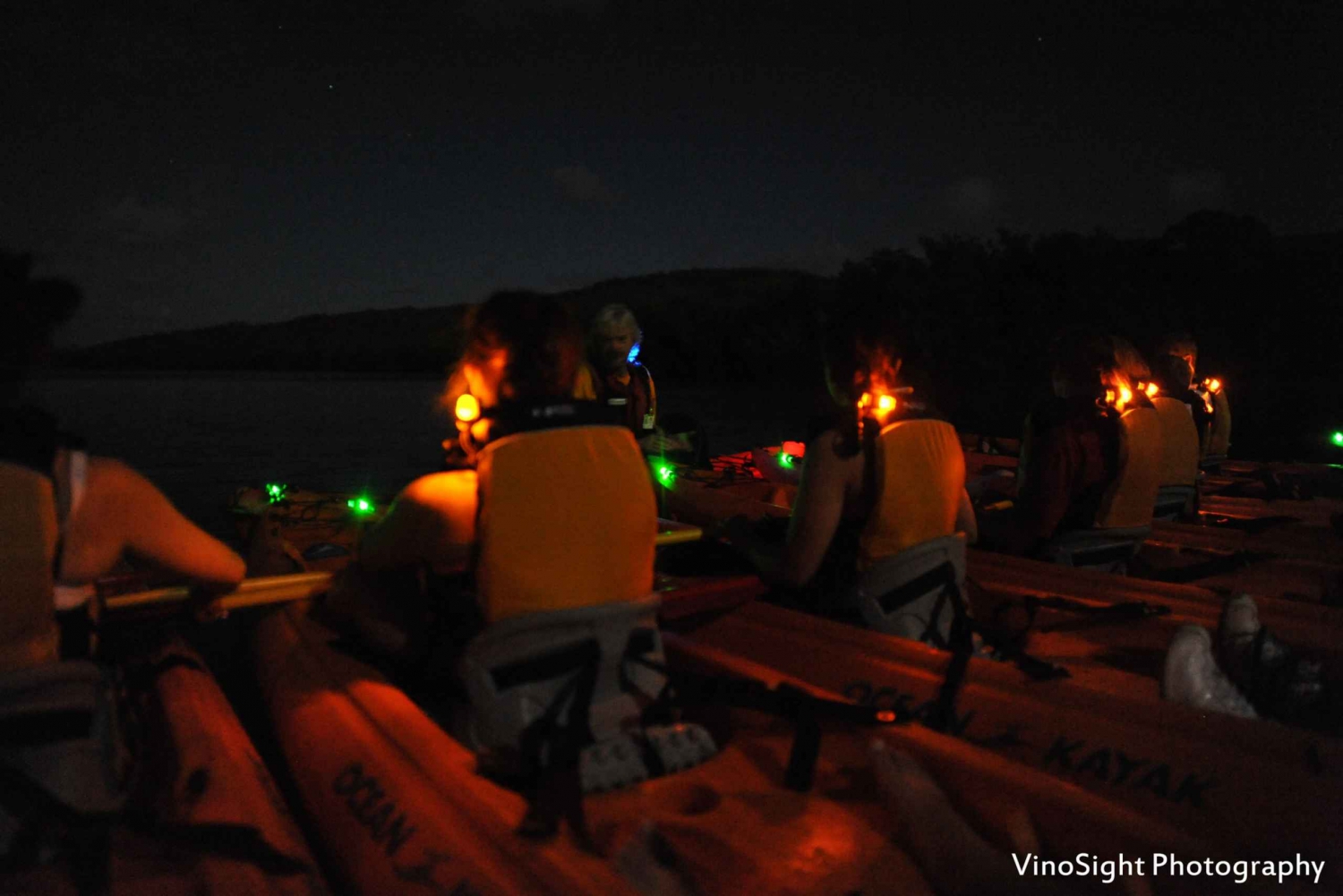 Fajardo: Bioluminescent Lagoon Kayak or Full Moon Kayak Tour