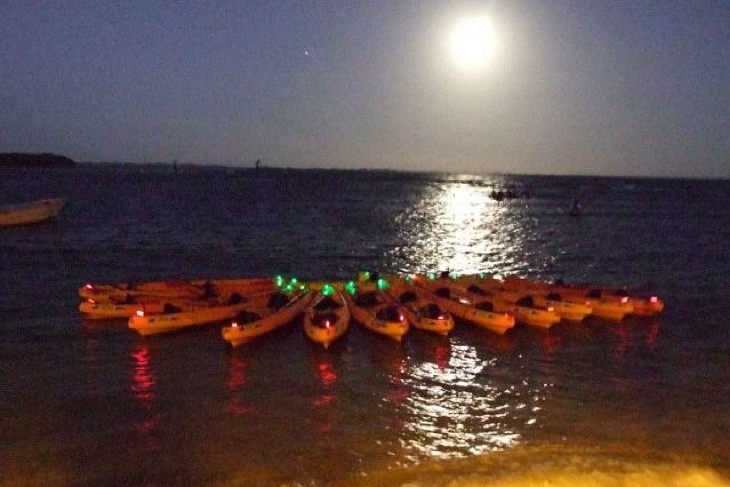 Fajardo Bioluminescent Lagoon Kayak Or Full Moon Kayak Tour In Puerto Rico