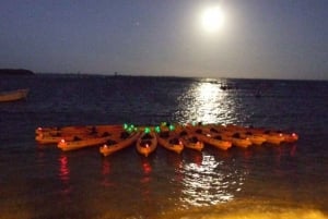 Fajardo: tour en kayak laguna bioluminiscente o luna llena