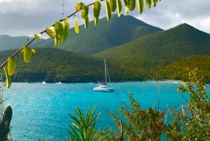 Fajardo: Catamaran Day Cruise to Palomino Island with Lunch