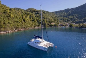 Fajardo : Croisière d'une journée en catamaran vers l'île de Palomino avec déjeuner