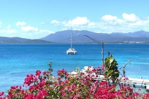 Fajardo: Catamaran dagtocht naar Palomino eiland met lunch