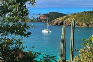 Fajardo: Passeio de um dia de catamarã para a Ilha Palomino com almoço