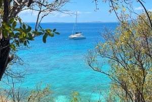 Fajardo: Passeio de um dia de catamarã para a Ilha Palomino com almoço