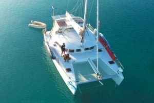 Fajardo : Croisière d'une journée en catamaran vers l'île de Palomino avec déjeuner