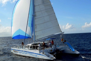 From Fajardo: Icacos Island Full-Day Catamaran Trip