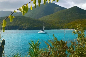 Fajardo: Catamaran Day Cruise with Piñeros Island and Lunch