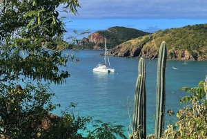 Fajardo: Catamaran Day Cruise with Piñeros Island and Lunch