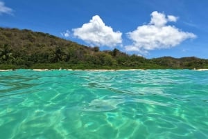 Fajardo: Culebran veneretki snorklaamalla, lounas ja juomat