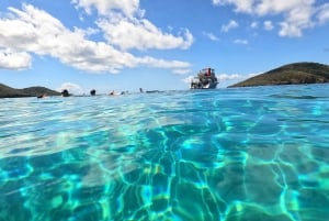Fajardo: Gita in barca a Culebra con snorkeling, pranzo e bevande