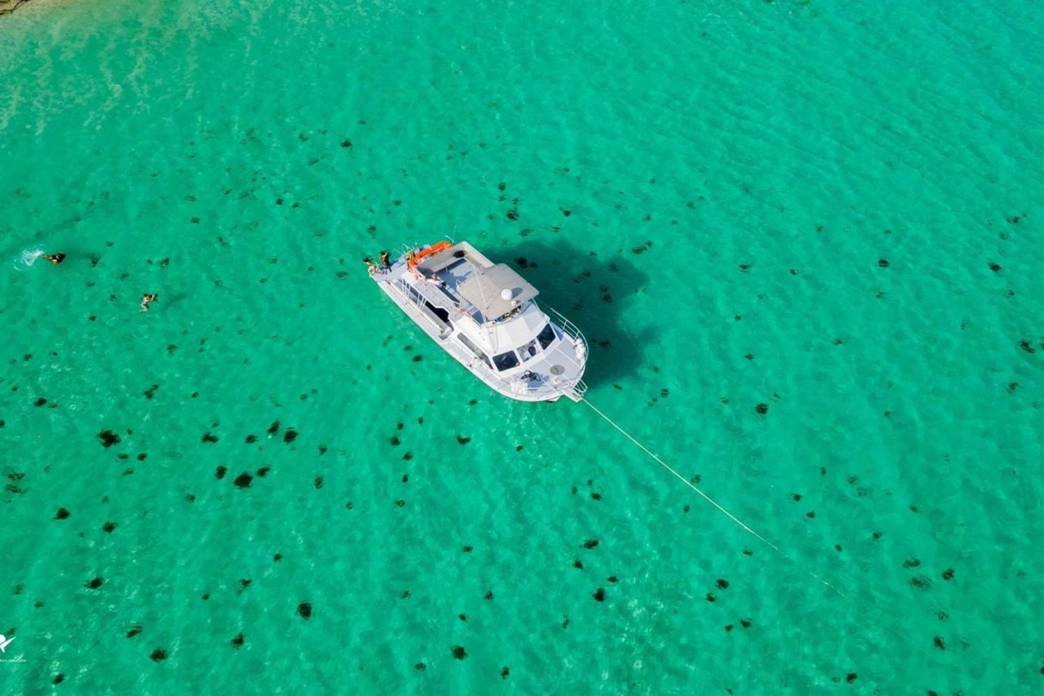 Fajardo: Guidet båttur med snorkling på øya Culebra