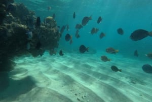 Fajardo: Tour en barco guiado de snorkel por la isla de Culebra