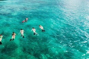 Fajardo: Culebra Island Guided Snorkeling Boat Tour
