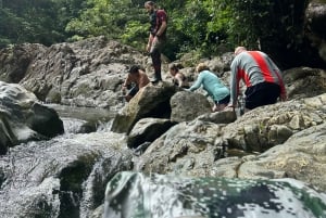 Fajardo: El Yunque Forest Guided Adventure