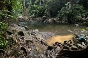 Fajardo: El Yunque Forest Guided Adventure