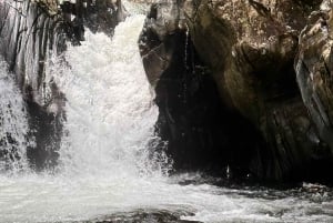 Fajardo: El Yunque Forest Guided Adventure