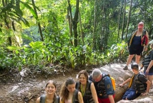 Fajardo: El Yunque Forest Guided Adventure